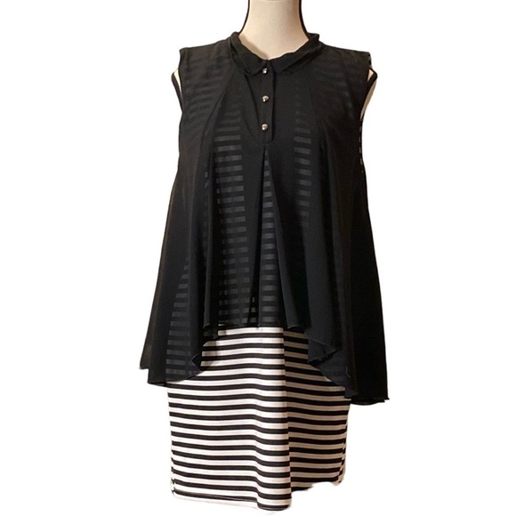 LAVENA- black & white stripe sleeveless dress with sheer black swing overlay - Picture 7 of 9